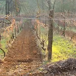 Gospodarstwo agroturystyczne Cascina Degli Ulivi