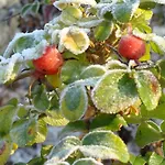 Farmház Cascina Degli Ulivi *
