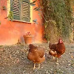 Cascina Degli Ulivi * Novi Ligure