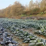 Farmház Cascina Degli Ulivi Novi Ligure
