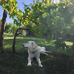 Cascina Degli Ulivi Novi Ligure