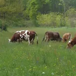 Cascina Degli Ulivi Farmház Novi Ligure