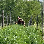 Cascina Degli Ulivi Gospodarstwo agroturystyczne *