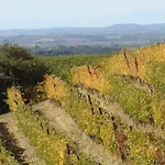 Agriturismo Cascina Degli Ulivi