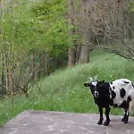 Cascina Degli Ulivi Gospodarstwo agroturystyczne Novi Ligure