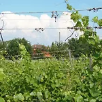 Cascina Degli Ulivi