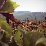 Farmház Cascina Degli Ulivi