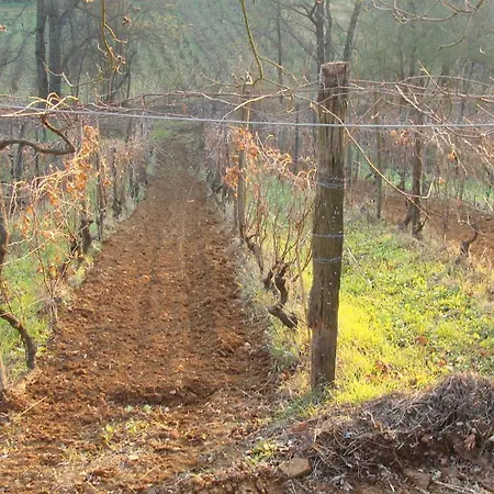 Gospodarstwo agroturystyczne Cascina Degli Ulivi
