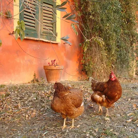 Cascina Degli Ulivi * Novi Ligure
