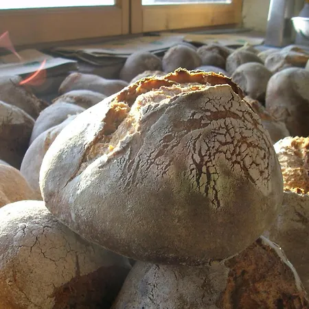 Cascina Degli Ulivi ファームステイ