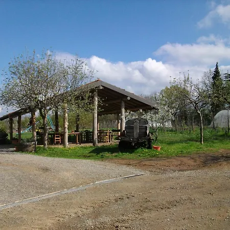 Cascina Degli Ulivi Novi Ligure