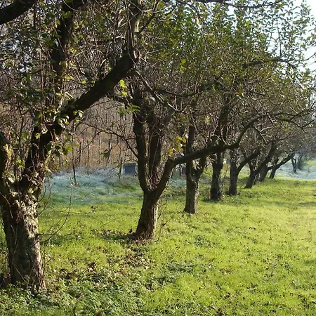 Κατάλυμα σε φάρμα Cascina Degli Ulivi *