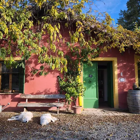 Agriturismo Cascina Degli Ulivi Farm stay Novi Ligure
