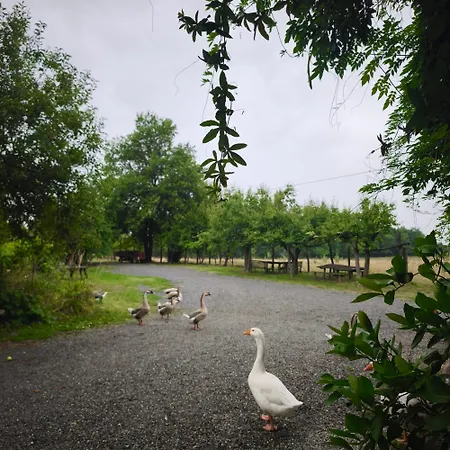 Cascina Degli Ulivi *