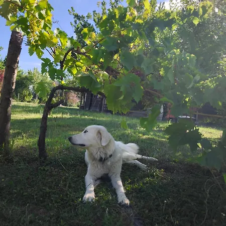 Cascina Degli Ulivi Νόβι Λίγκουρε
