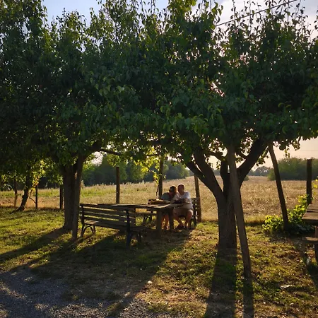 Bauernhof Cascina Degli Ulivi