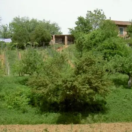 Farmház Cascina Degli Ulivi *