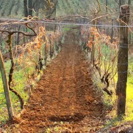 Cascina Degli Ulivi *