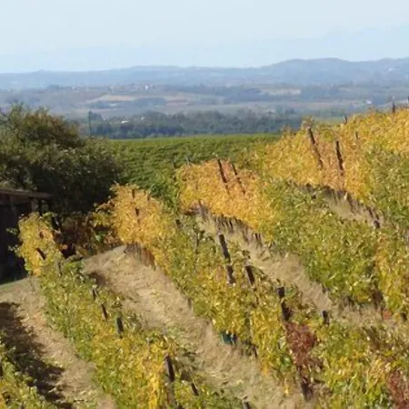 Cascina Degli Ulivi