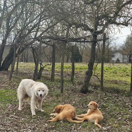 Cascina Degli Ulivi Bauernhof *