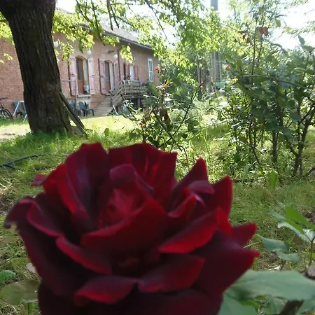 Agriturismo Cascina Degli Ulivi *
