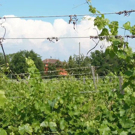 Agriturismo Cascina Degli Ulivi Novi Ligure