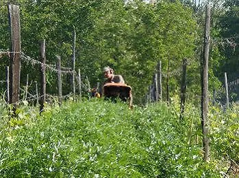 Agriturismo Cascina Degli Ulivi Farm stay *