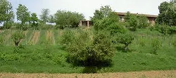 Agriturismo Cascina Degli Ulivi *