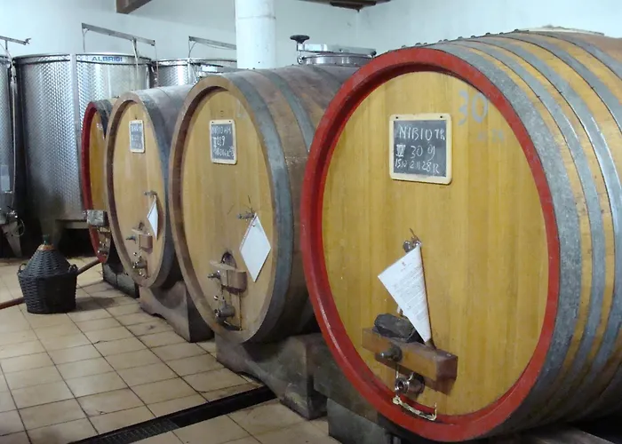 Agriturismo Cascina Degli Ulivi Farm stay Novi Ligure