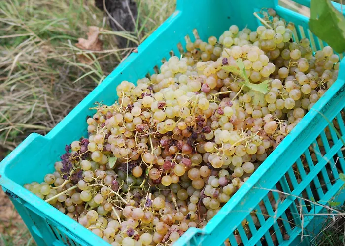 Farm stay Agriturismo Cascina Degli Ulivi Novi Ligure