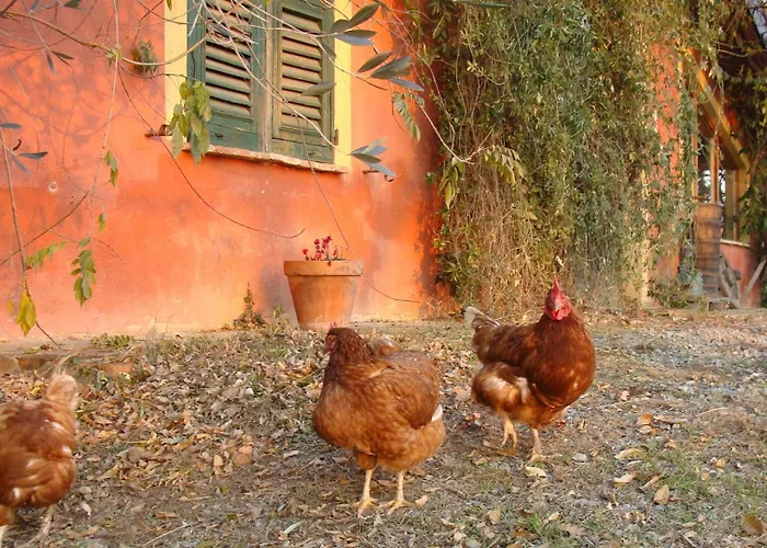 Cascina Degli Ulivi * Novi Ligure