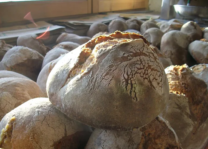 Cascina Degli Ulivi Çiftlik konaklama
