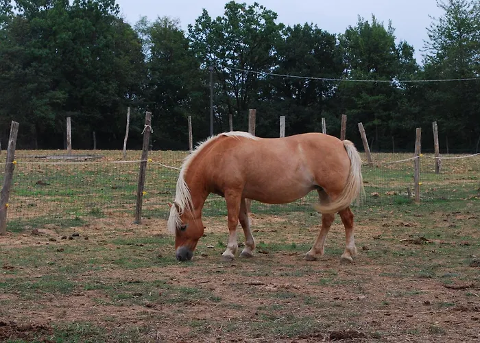 Agriturismo Cascina Degli Ulivi