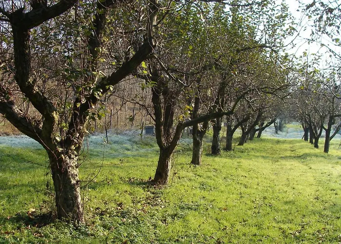 Çiftlik konaklama Cascina Degli Ulivi *