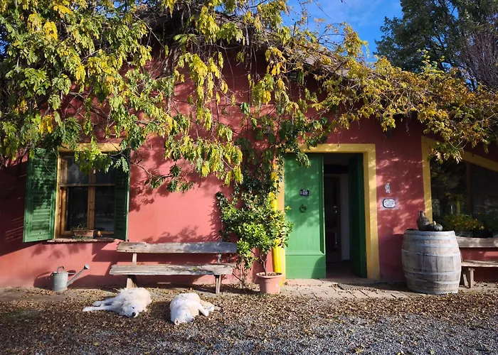 Agriturismo Cascina Degli Ulivi Farm stay Novi Ligure