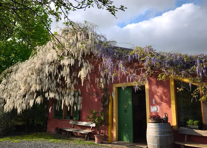 Cascina Degli Ulivi Çiftlik konaklama