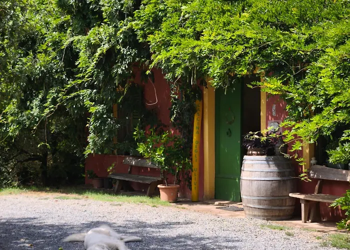 Çiftlik konaklama Cascina Degli Ulivi Novi Ligure
