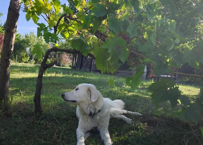 Cascina Degli Ulivi Novi Ligure