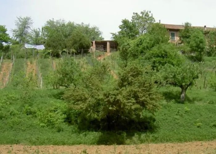 Çiftlik konaklama Cascina Degli Ulivi *