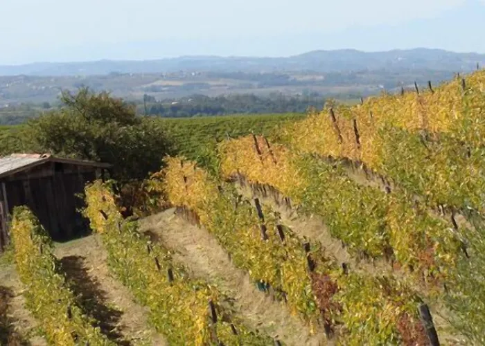 Cascina Degli Ulivi