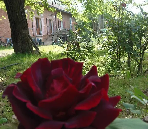 Cascina Degli Ulivi *